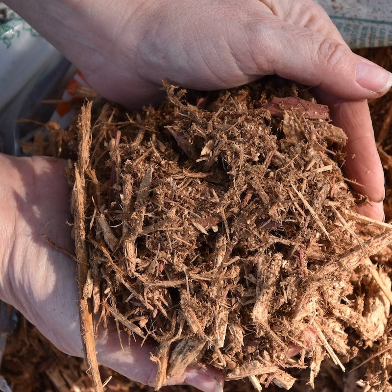 Cedar Mulch