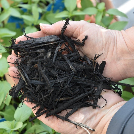Black Mulch